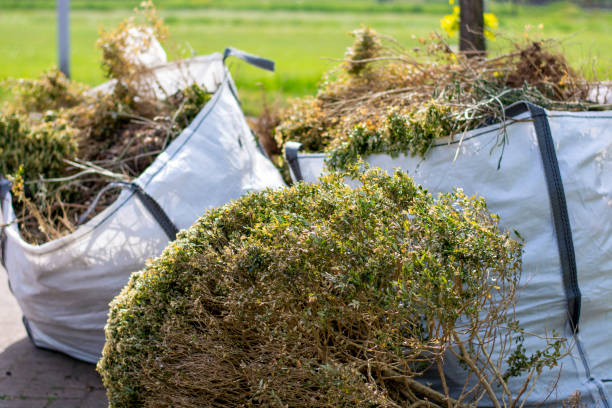 Best Affordable Junk Removal Services  in Donalsonville, GA